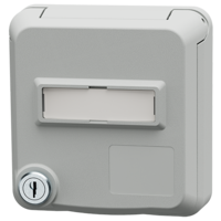 MENNEKES  Presa per porte dati Cepex con serratura e spazio per etichetta, grigio chiaro 4662